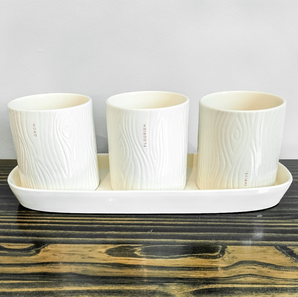 Rae Dunn Artisan grow-flourish-thrive planter